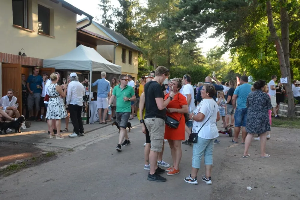 Otevřené sklepy 2022 – fotografie 77